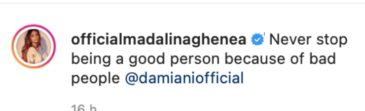 Madalina Ghenea (Instagram)