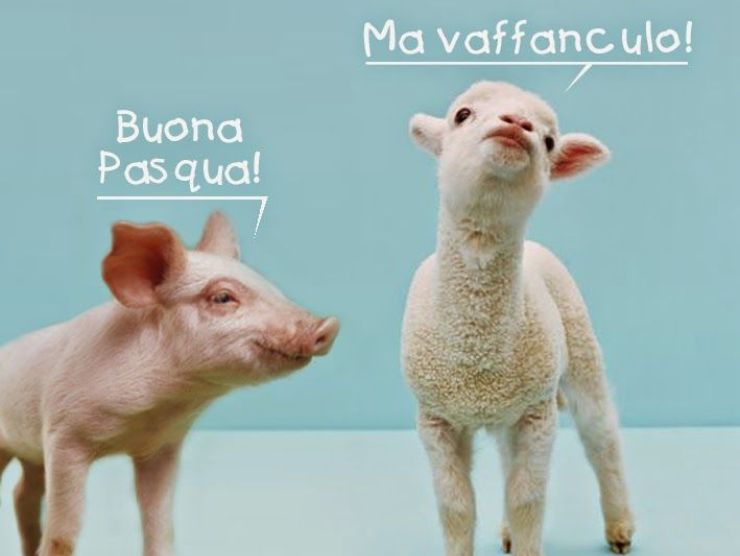 Pasqua 2021 auguri immagini