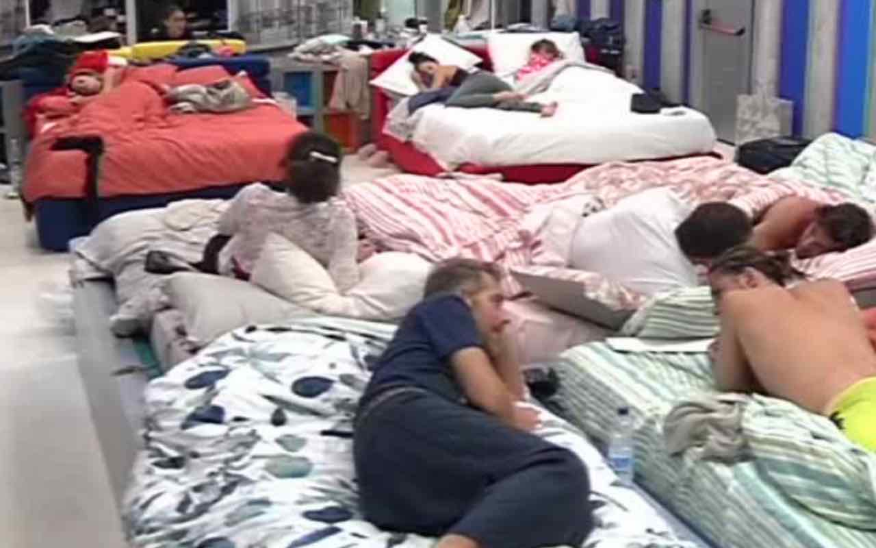 GF Vip litigi in camera (Grandefratellovip.it