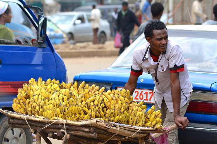 Banane, spaccio di droga (Pixabay)