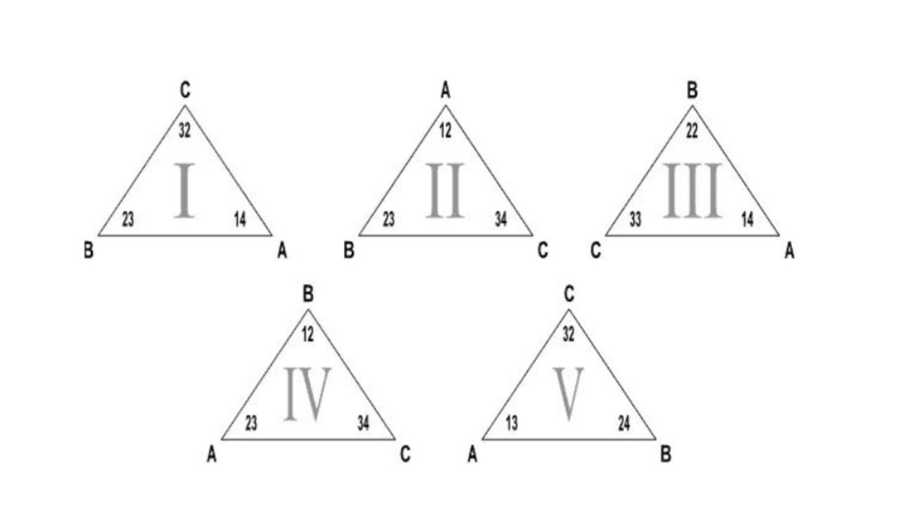 Test logica triangoli