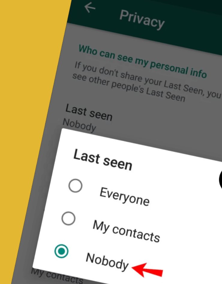 WhatsApp (Web)