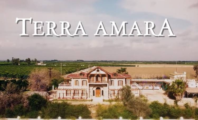 Terra amara logo