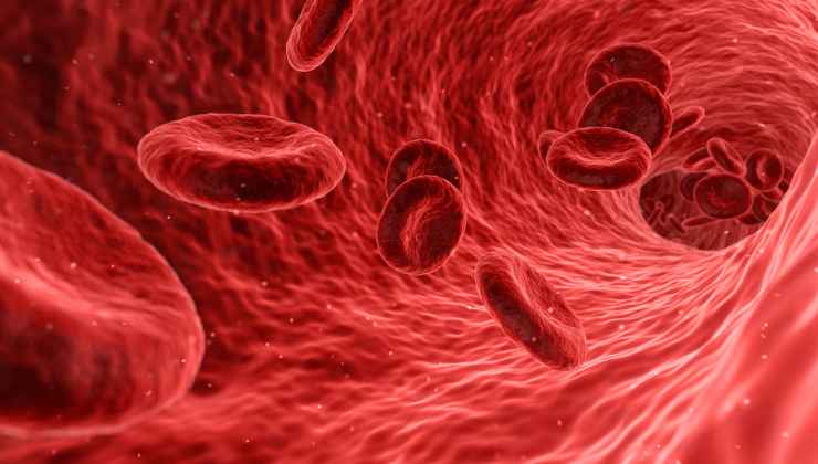 Globuli Rossi: benefici del viagra sul cervello