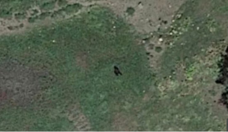 Google earth bigfoot