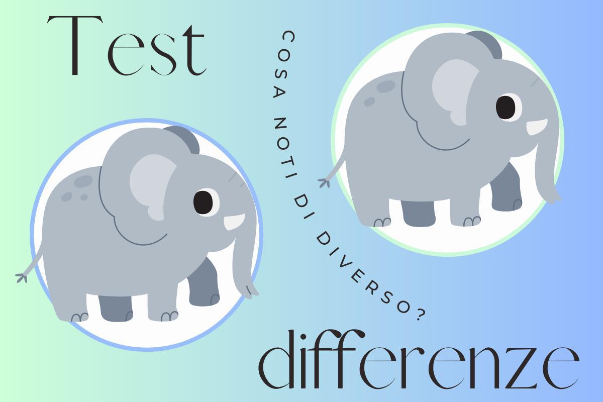 due elefanti differenze