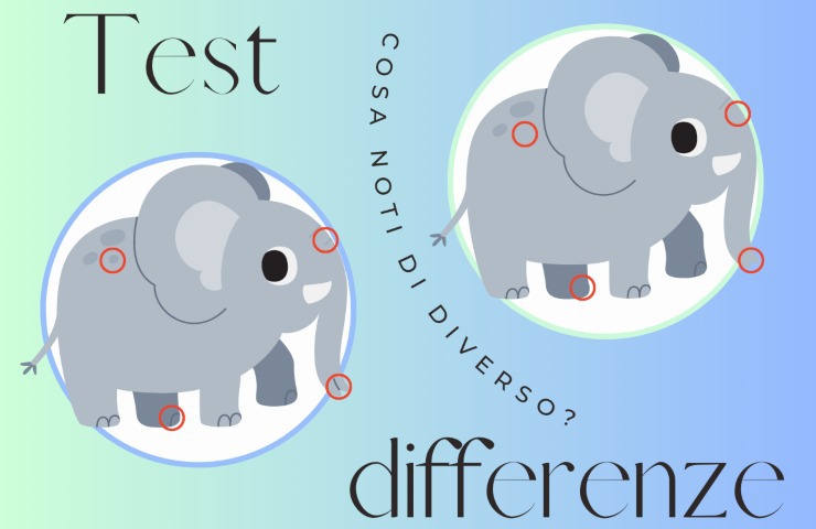 due elefanti differenze