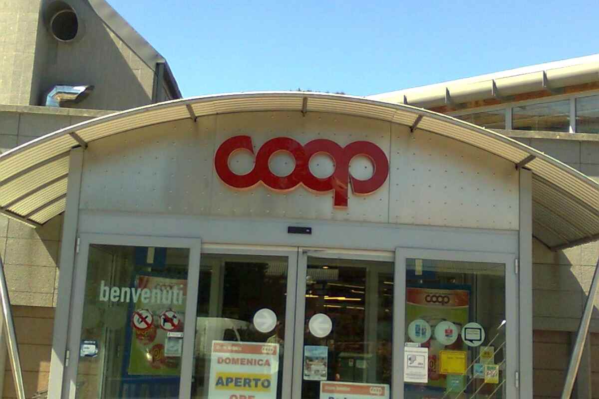 Coop