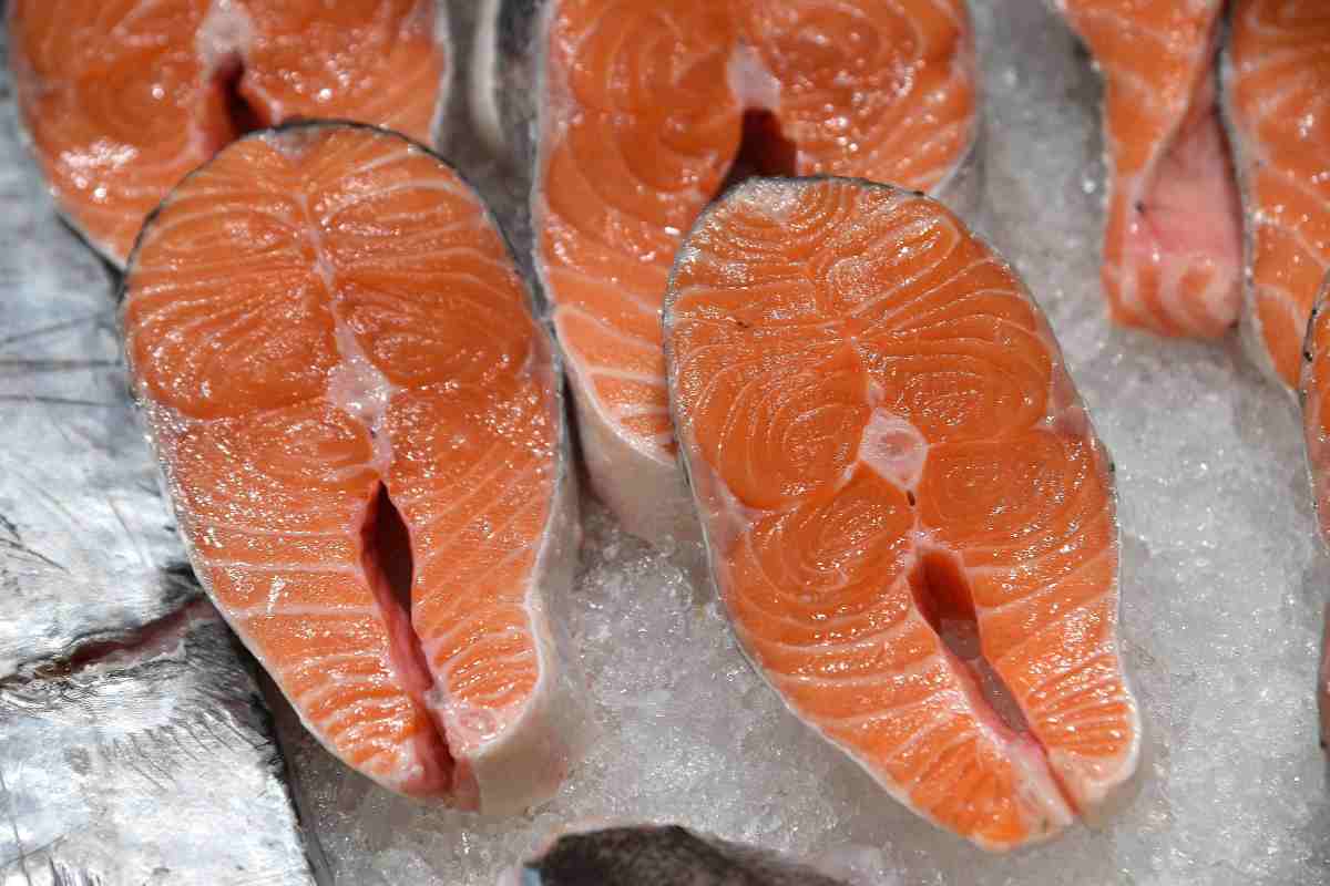Salmone