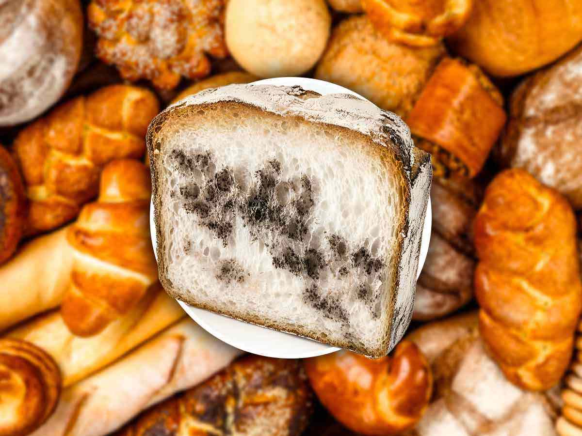 Pane ammuffito