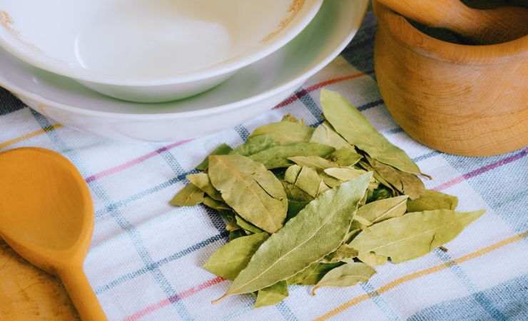 foglie d'alloro su una tavola