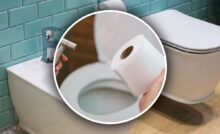 Bidet