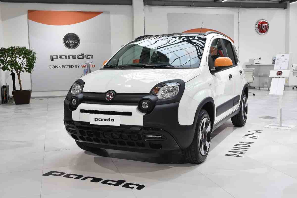 Fiat Panda in mostra