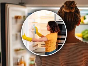 Frigo pulito