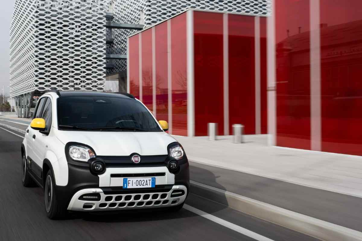 una panda in marcia